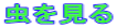 虫を見る